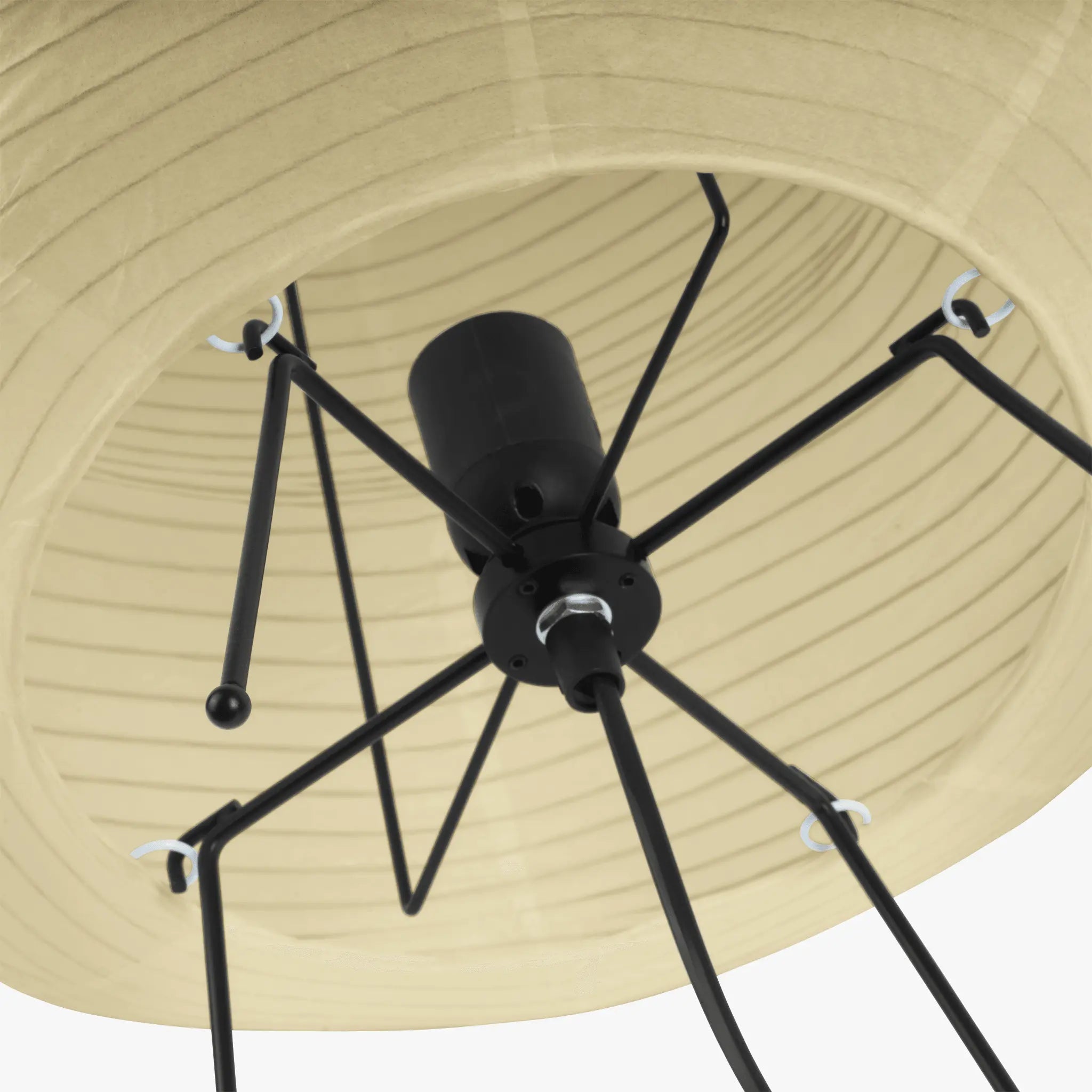 24N Table Lamp