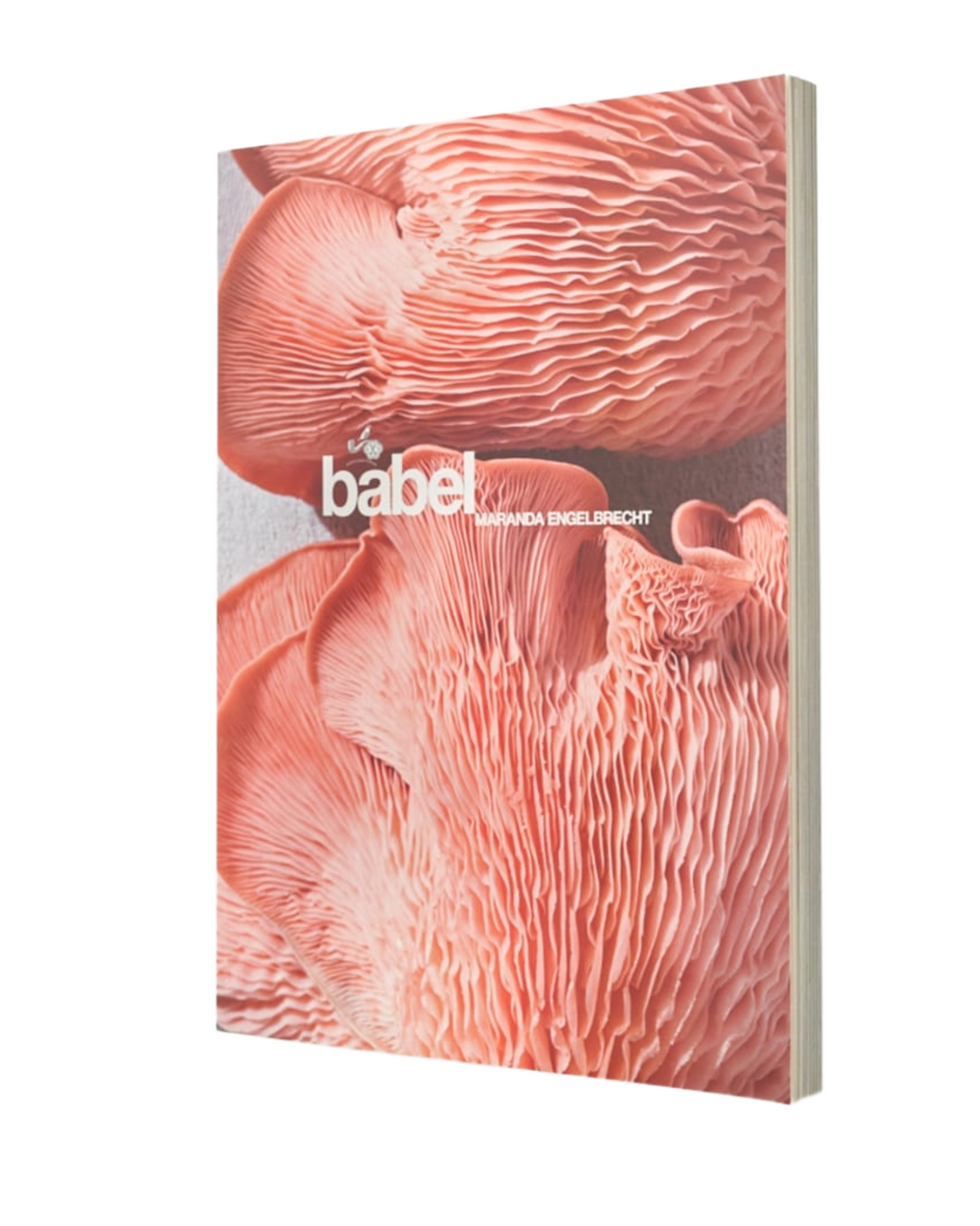 Babel Cookbook