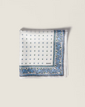 Printed Twill Scarf