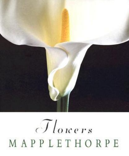 Flowers - Robert Mapplethorpe