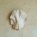 Jess Wheeler Hispi Plaster Wall Light