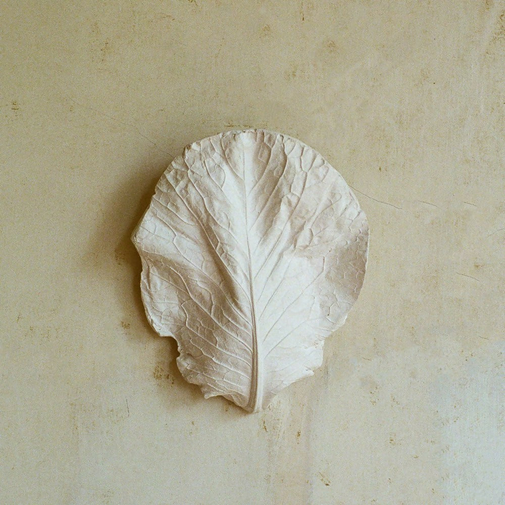 Jess Wheeler Hispi Plaster Wall Light